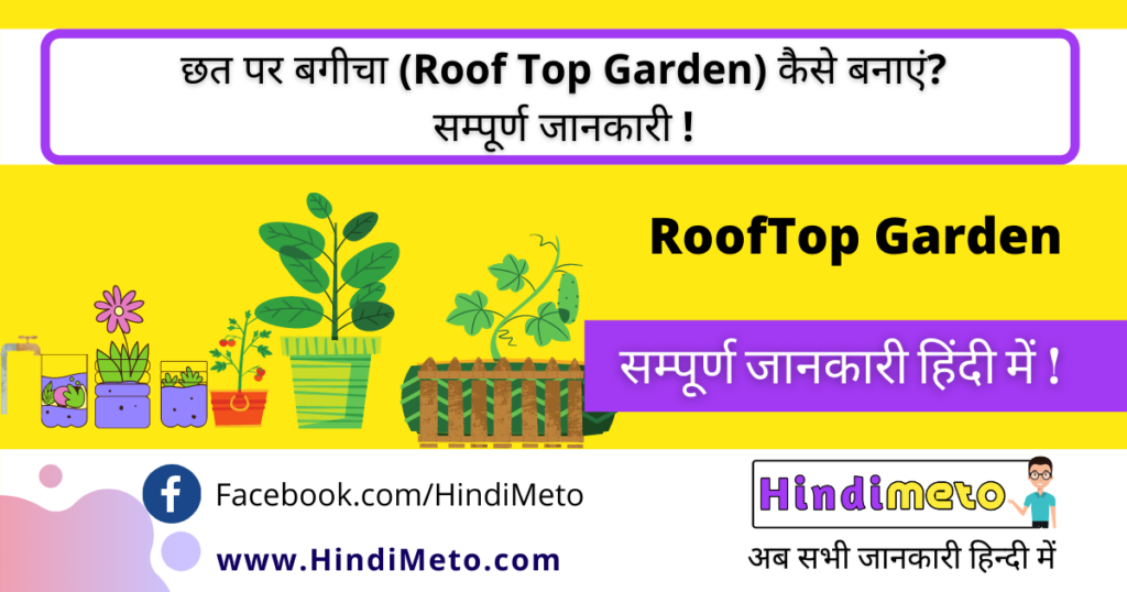 how to make rooftop garden kaise banaye in hindi