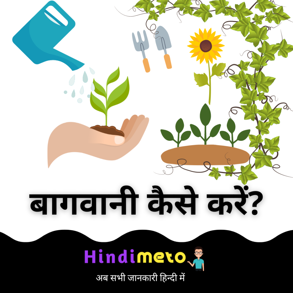 garden kaise banayen in hindi - hindimeto.com